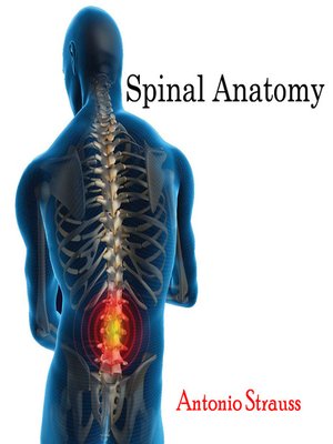 cover image of Spinal Anatomy